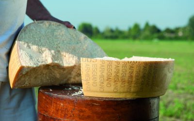 The history of Parmigiano Reggiano