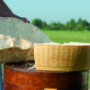 The history of Parmigiano Reggiano