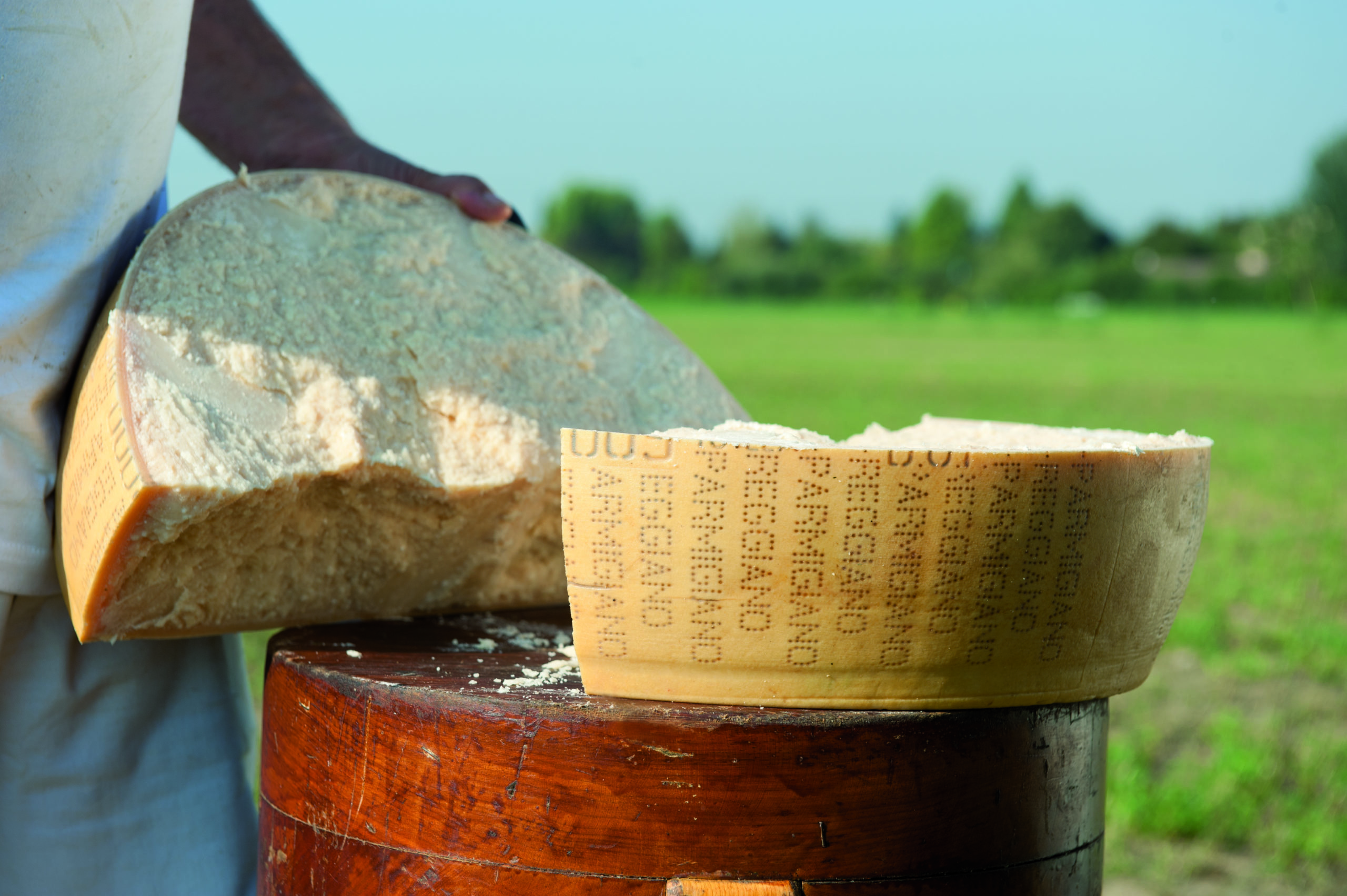 The history of Parmigiano Reggiano